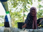 Krisis Air Klabang, Warga Bertahan dengan Sumber Keruh