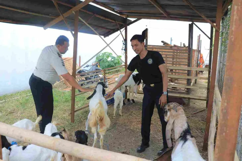 Lapas Pemuda Madiun Bangun Sentra Peternakan di Lahan Terbengkalai