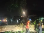 Pohon Tumbang Tutup Jalan Brawijaya Saat Cuaca Ekstrem