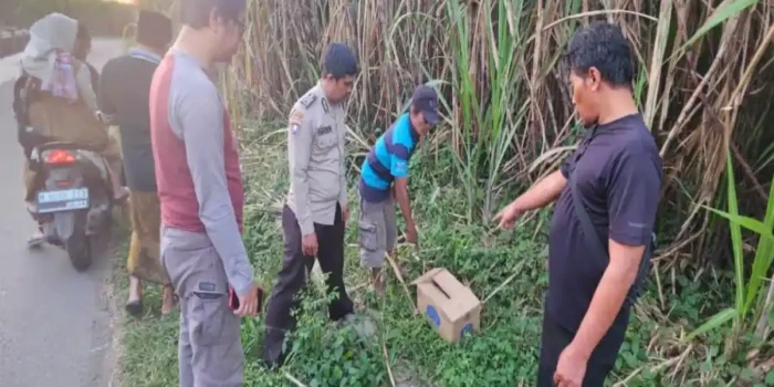 Polisi Selidiki Bayi Tewas dalam Kardus