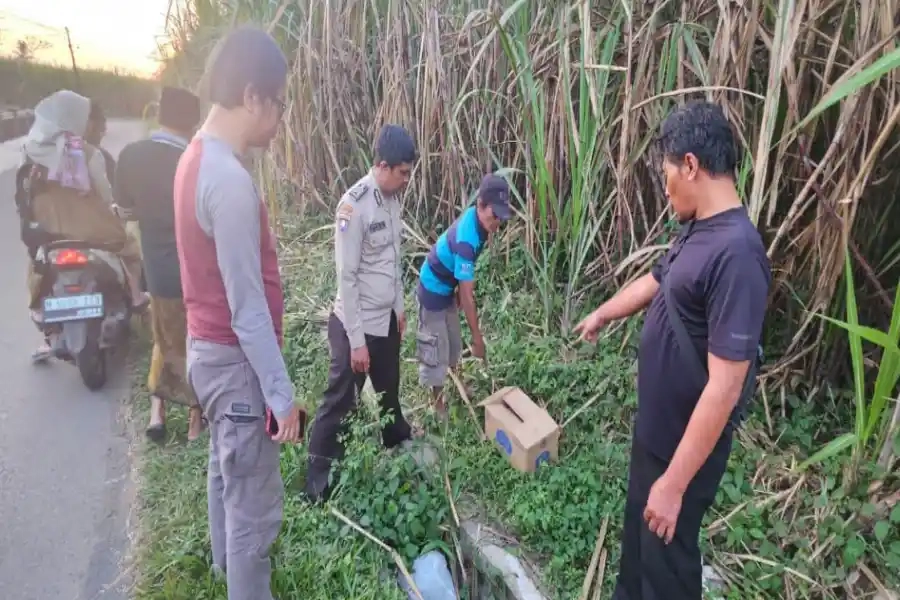 Polisi Selidiki Bayi Tewas dalam Kardus