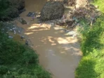Dugaan Limbah Cucian Pasir Cemari Sungai Madiun Dugaan Limbah Cucian Pasir Cemari Sungai Madiun