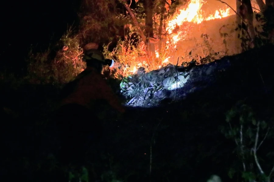 Kebakaran Hutan Balong Meluas, BPBD Andalkan Teknik Gepyok