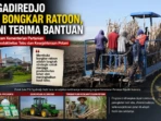 PG-Ngadiredjo-Buka-Bongkar-Ratoon-Petani-Terima-Bantuaan