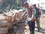 Pria Tewas Tertimpa Pohon Saat Tebang Lahan PTPN XII Pria Tewas Tertimpa Pohon Saat Tebang Lahan PTPN XII