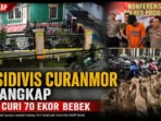 Residivis-Curanmor-Ditangkap-Usai-Curi-70-Ekoor-Bebek