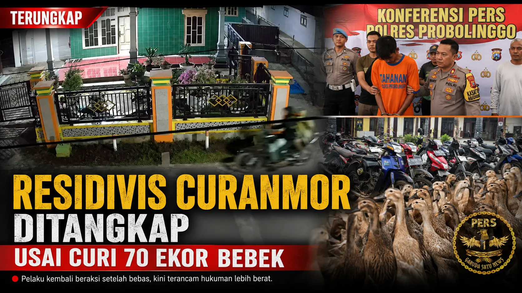Residivis-Curanmor-Ditangkap-Usai-Curi-70-Ekoor-Bebek