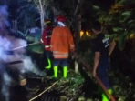 Rumah Warga Situbondo Hangus, Kerugian Rp20 Juta