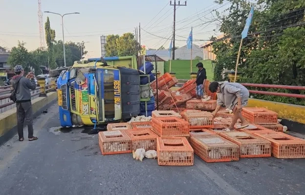 Sopir-Mengantuk-Truk-Ayam-Hantam-Bus-di-Madiun