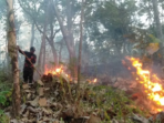 5 Hektar Hutan Rakyat Gunung Bancak Terbakar