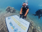 Dispar Kaltim Transplantasi Terumbu Karang di Pulau Miang Dispar Kaltim Transplantasi Terumbu Karang di Pulau Miang