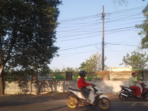 Garasi Dump Truk Probolinggo Terancam Ditutup Garasi Dump Truk Probolinggo Terancam Ditutup