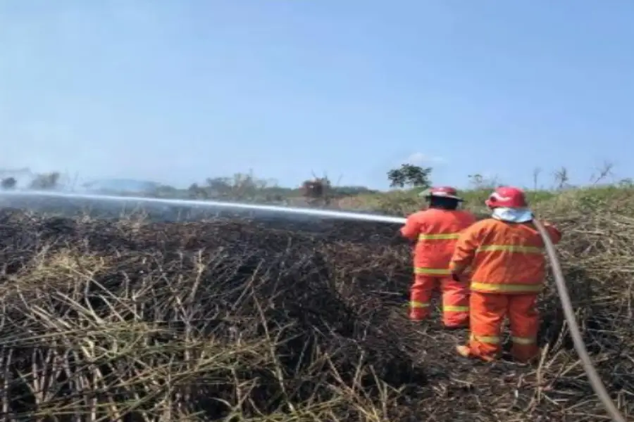 Grup PHI Perkuat Penanganan Karhutla di Kalimantan