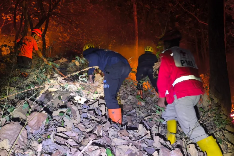 Kebakaran 5 Hektare Hutan Rakyat Magetan Dipadamkan