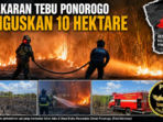 Kebakaran Tebu Ponorogo Hanguskan 10 Hektare
