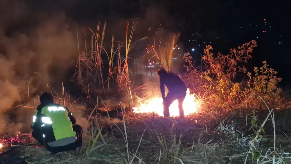 Lahan Tebu 2 Hektare di Ponorogo Terbakar, Dugaan Pembakaran Diselidiki