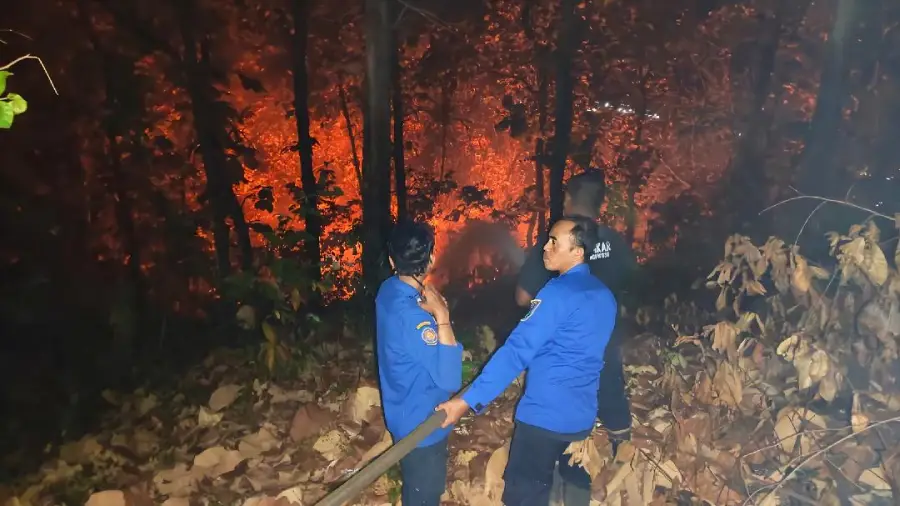 Medan Terjal Hambat Pemadaman Karhutla Bondowoso-Situbondo