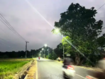Pemkab Pasuruan Perkuat Keselamatan dengan PJU Smart System