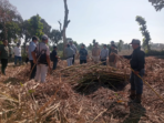 PT SGN Evaluasi SOP dan Pasokan Tebu Kebun Dhoho