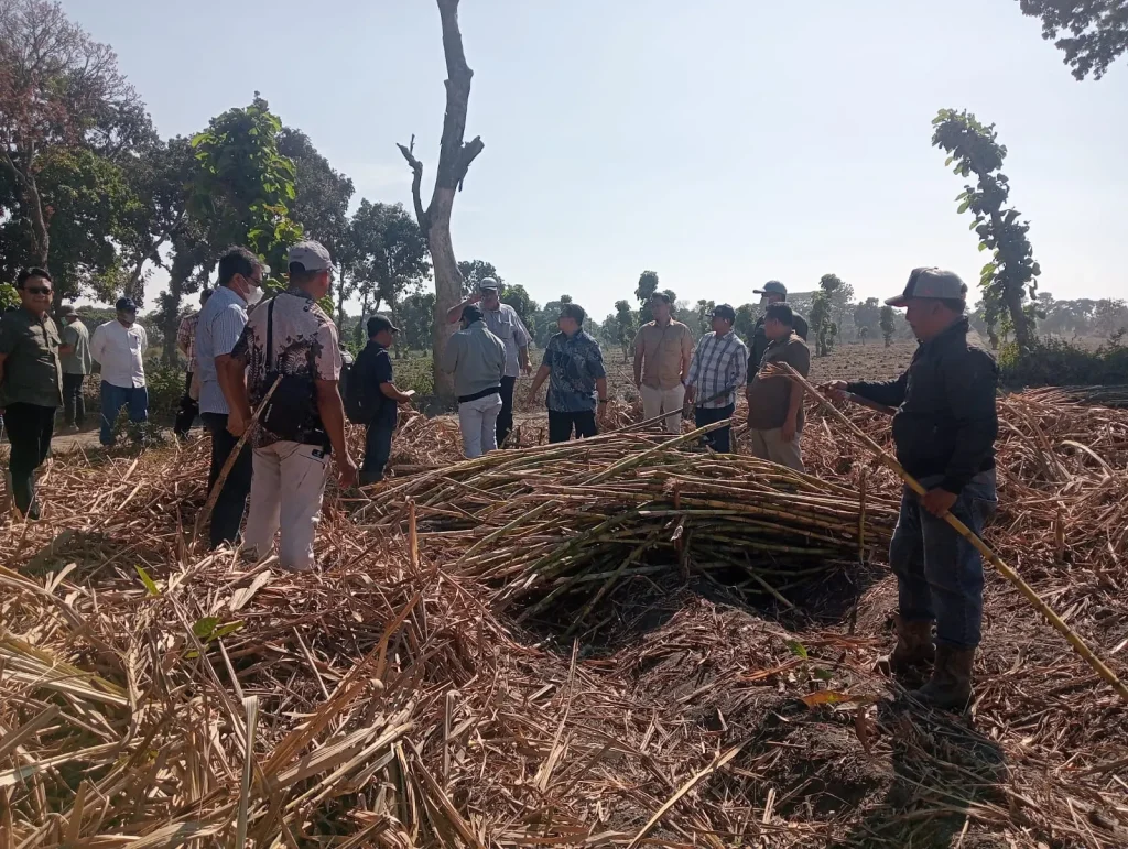 PT SGN Evaluasi SOP dan Pasokan Tebu Kebun Dhoho