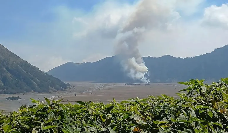 Titik Api Baru Muncul, Karhutla Bromo Meluas