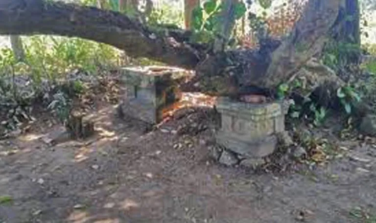 Dua Batu Yoni di Jember Raib, Diduga Dicuri