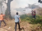 Gudang Ampas Tebu PG Gempolkrep Mojokerto Terbakar