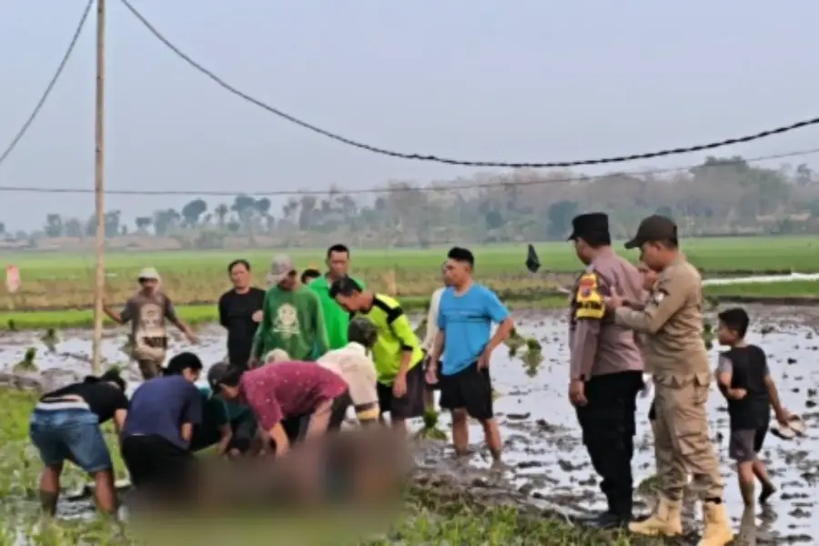 Ibu dan Anak Tewas Tersengat Jebakan Tikus Listrik