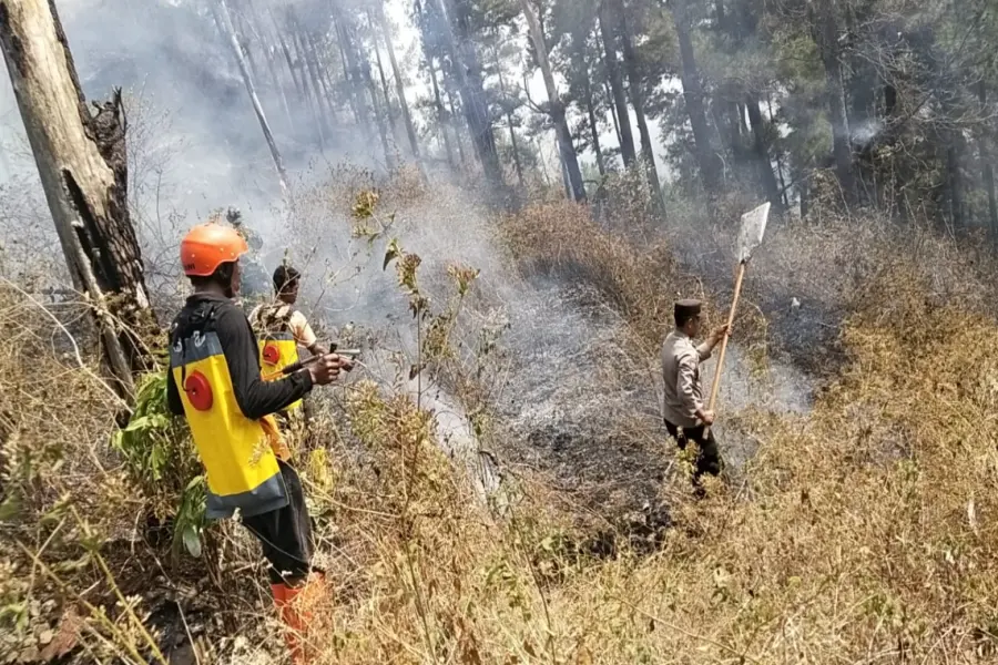 Karhutla Gunung Botak Ngawi Belum Padam, Medan Jadi Kendala