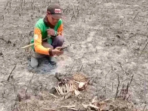 Karhutla Semeru Ancam Satwa, Kijang dan Sigung Ditemukan Mati