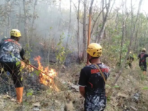 Kebakaran Hutan Rakyat Balerejo Magetan Meluas 3 Hektare Kebakaran Hutan Rakyat Balerejo Magetan Meluas 3 Hektare