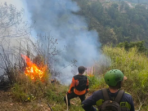 Kebakaran Lahan 4 Hektare Melanda Singolangu