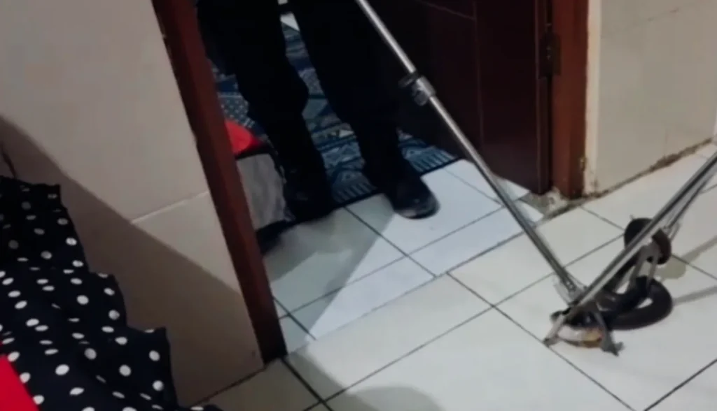 Kobra Muncul di Spring Bed, Warga Gresik Panik