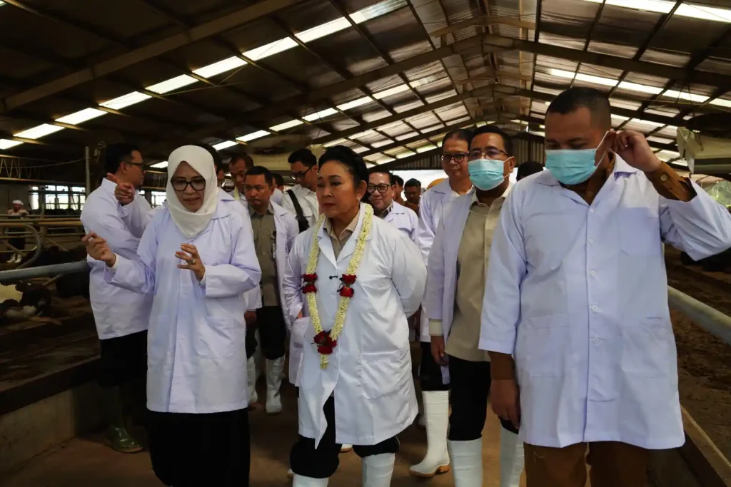 KUTT Suka Makmur Grati Jadi Model Rantai Pasok Susu