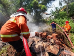 Masyarakat Pamekasan Diingatkan Waspadai Kebakaran Masyarakat Pamekasan Diingatkan Waspadai Kebakaran