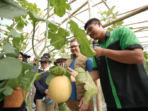 Pelajar SMKN 1 Tulungagung Panen 3,5 Ton Melon Modern