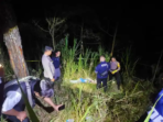 Pencari Rumput Tewas Penuh Luka di Hutan Probolinggo