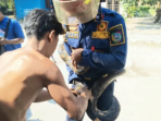 Piton 4 Meter Lilit Kaki Petugas Saat Dievakuasi Piton 4 Meter Lilit Kaki Petugas Saat Dievakuasi