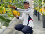 Warga Sukolilo Sulap Lahan Tak Produktif Jadi Kebun Melon