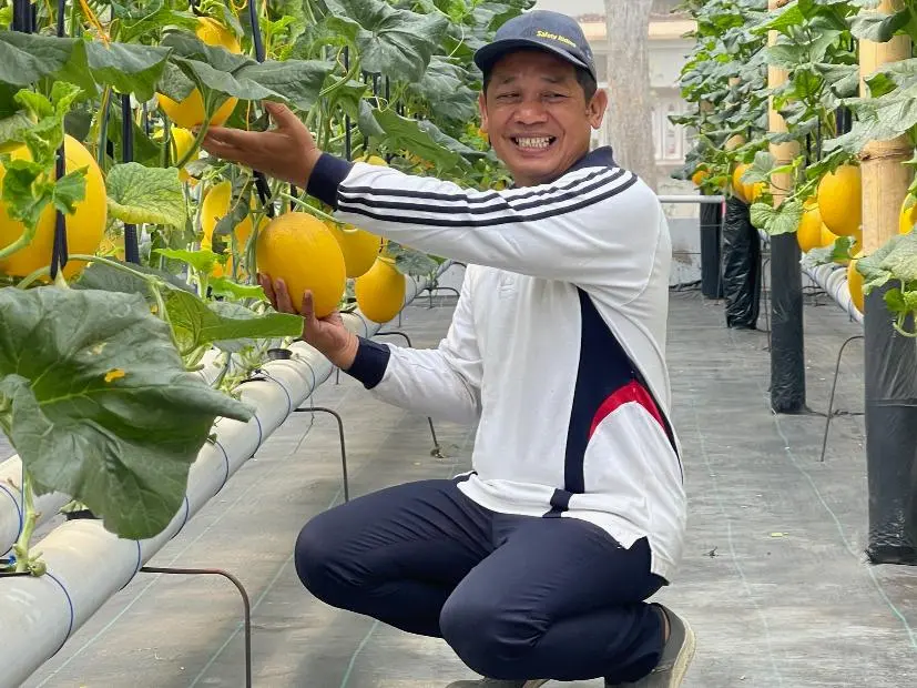 Warga Sukolilo Sulap Lahan Tak Produktif Jadi Kebun Melon