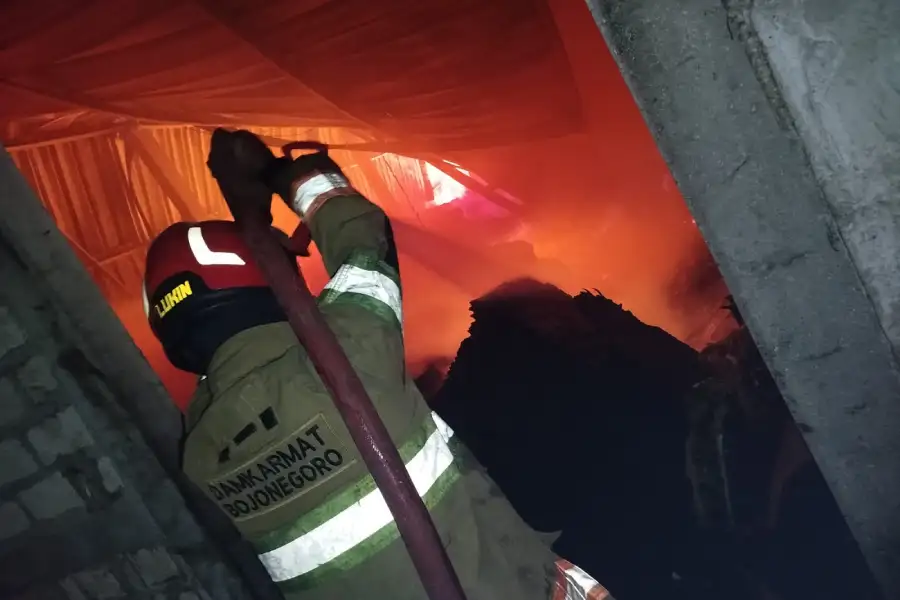 Bediang Kandang Sapi Picu Kebakaran Tiga Rumah di Bojonegoro