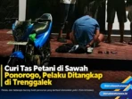 Curi Tas Petani di Sawah Ponorogo, Pelaku Ditangkap di Trenggaalek