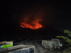 Hutan Gajah Mungkur Lumajang Terbakar, Api Belum Padam