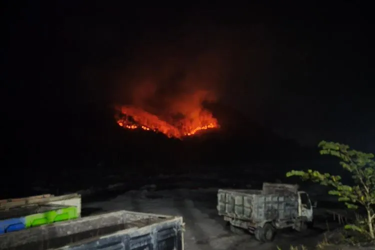 Hutan Gajah Mungkur Lumajang Terbakar, Api Belum Padam