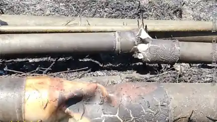 Karhutla Arjuno Rusak 5,25 Km Pipa, Warga Jatiarjo Krisis Air