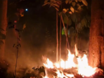 Karhutla di Bondowoso, 8 Hektare Lahan Argopuro Terbakar