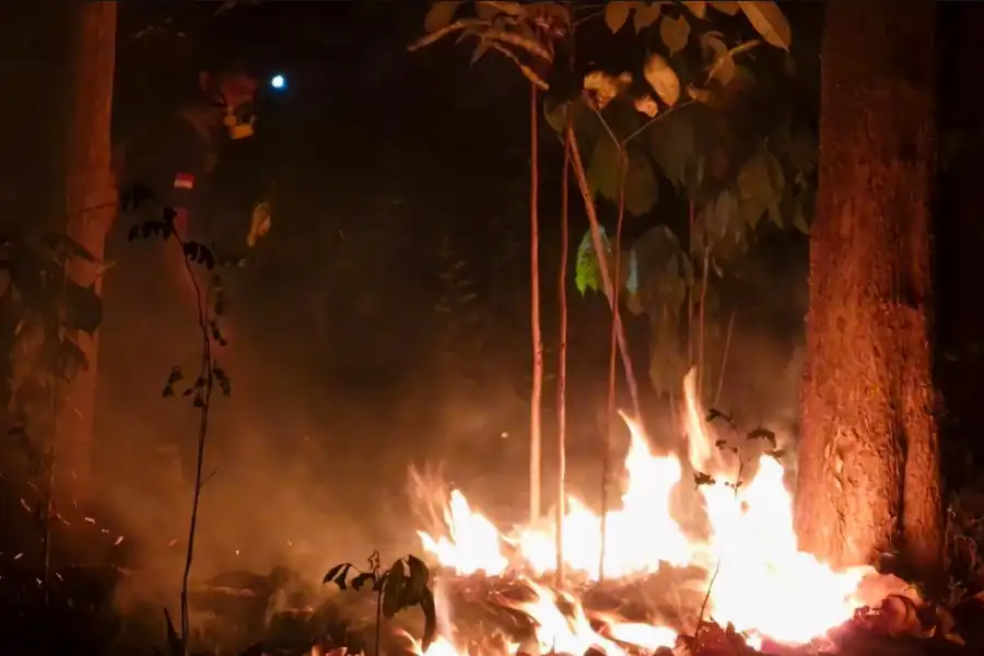 Karhutla di Bondowoso, 8 Hektare Lahan Argopuro Terbakar