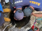 Kucing Terjebak Sumur, Warga Lamongan Panggil Damkar Kucing Terjebak Sumur, Warga Lamongan Panggil Damkar