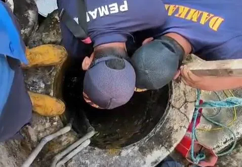 Kucing Terjebak Sumur, Warga Lamongan Panggil Damkar