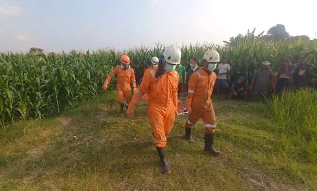 Lansia Hilang Sepekan Ditemukan Tewas di Kebun Jagung